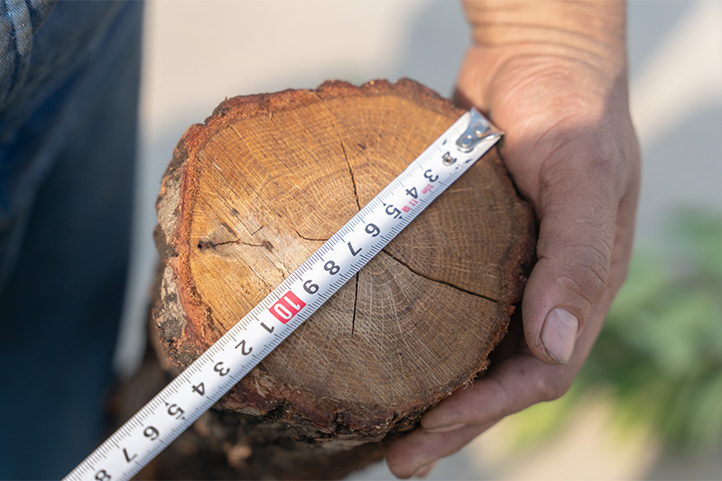 Kailifeng - Material Shredding Truck (8–10 cubic meters)